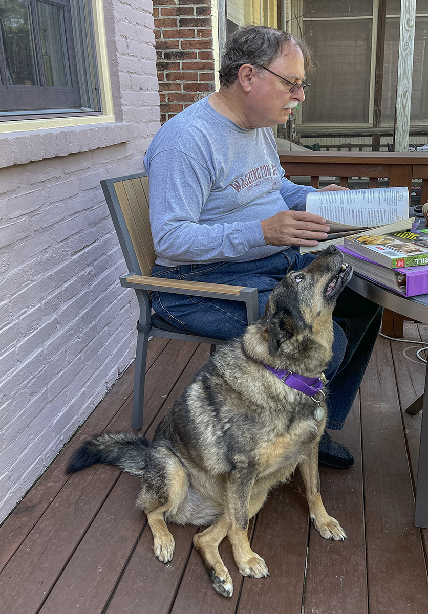 Trying to plan dinner (2/3)