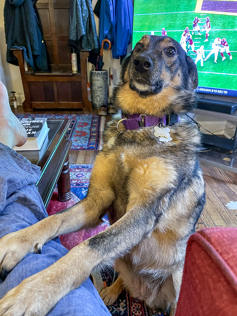 Still trying to watch the football game