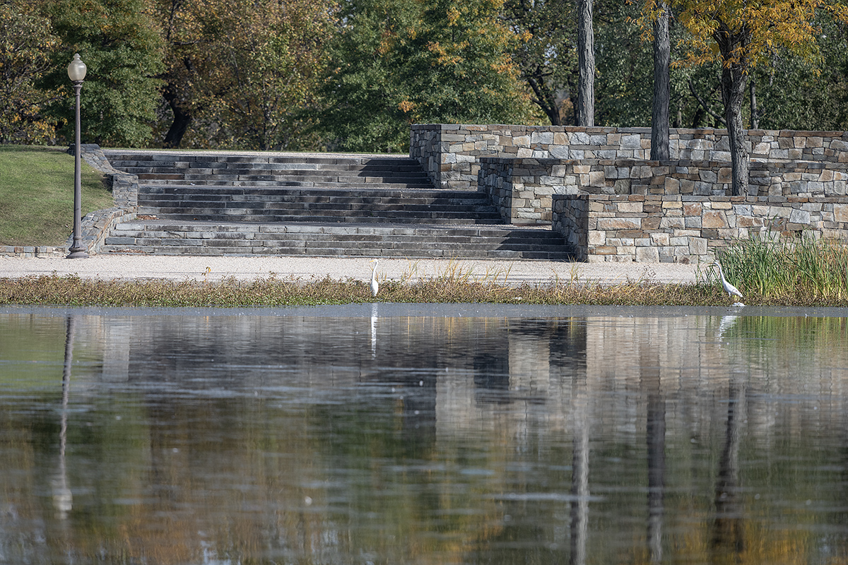 The great egret saga: First sighting (1/6)