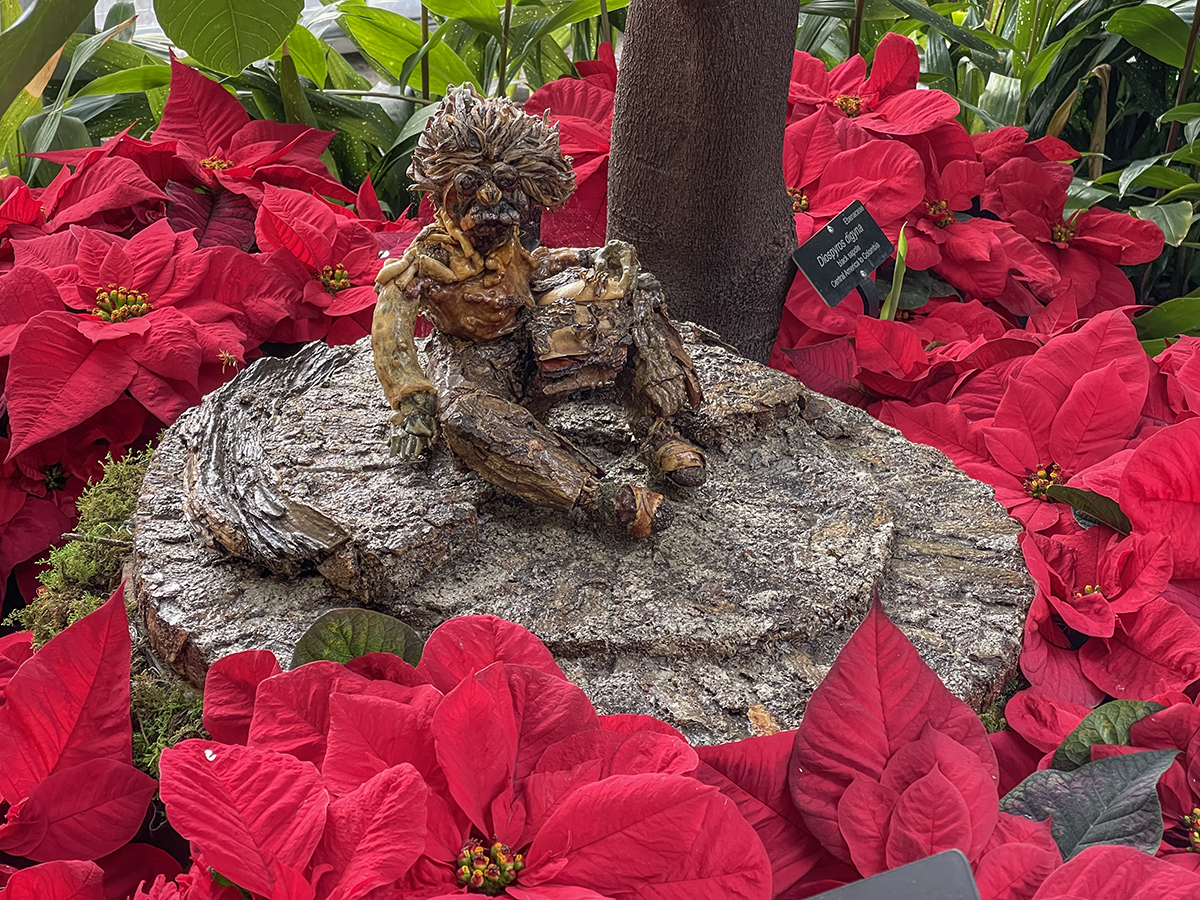 A planted Albert Einstein