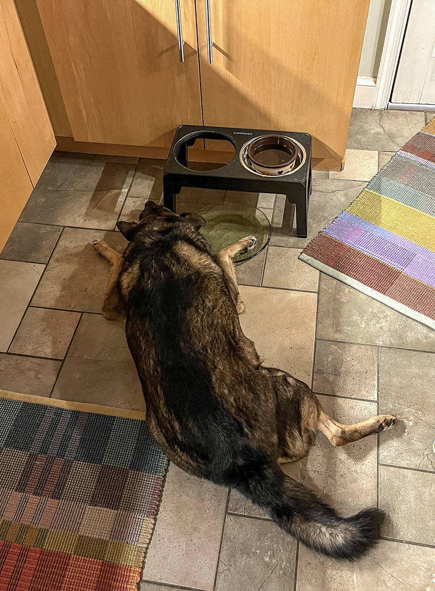 Just cant let go of that plate