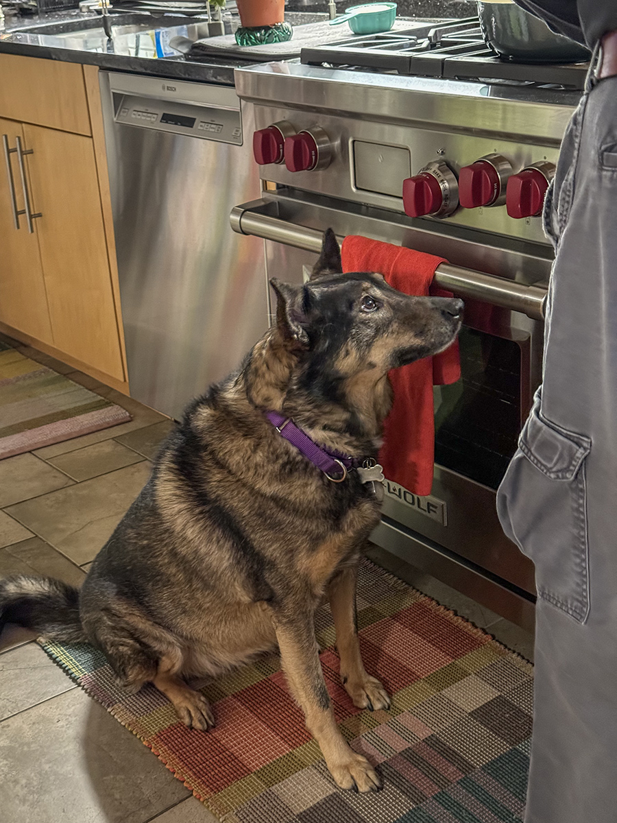 The Can I have more ham look