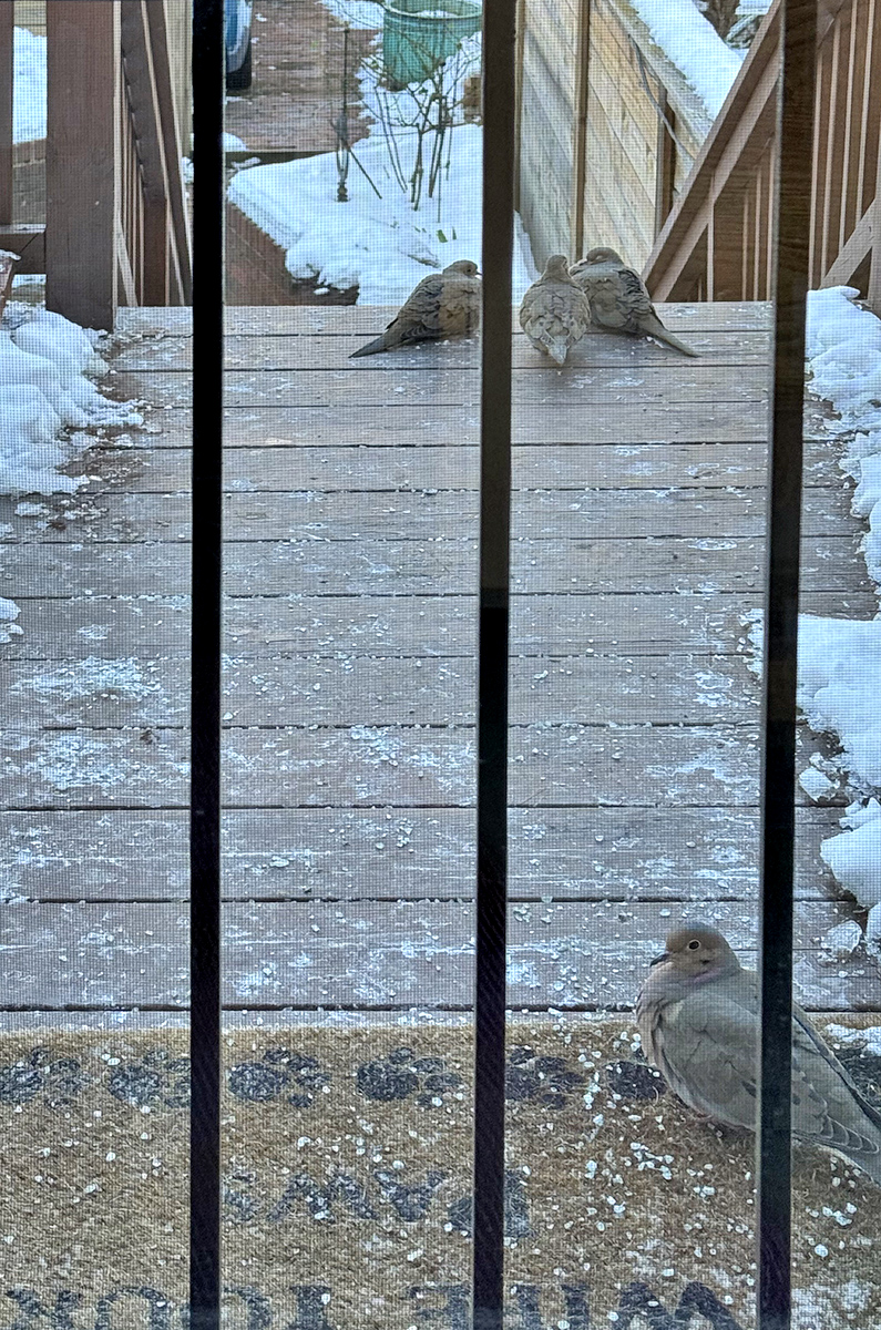 Fours a crowd, in this case