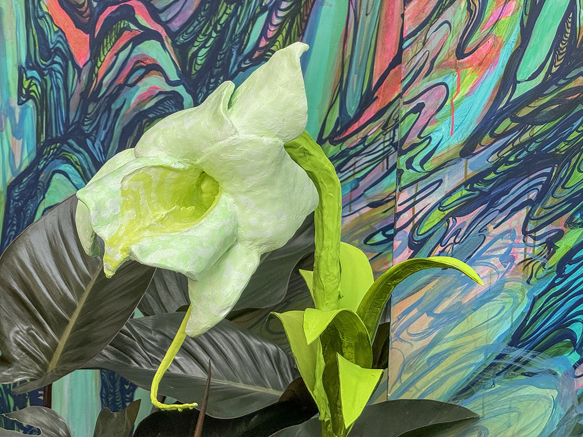 Model of Angraecum phaanenae