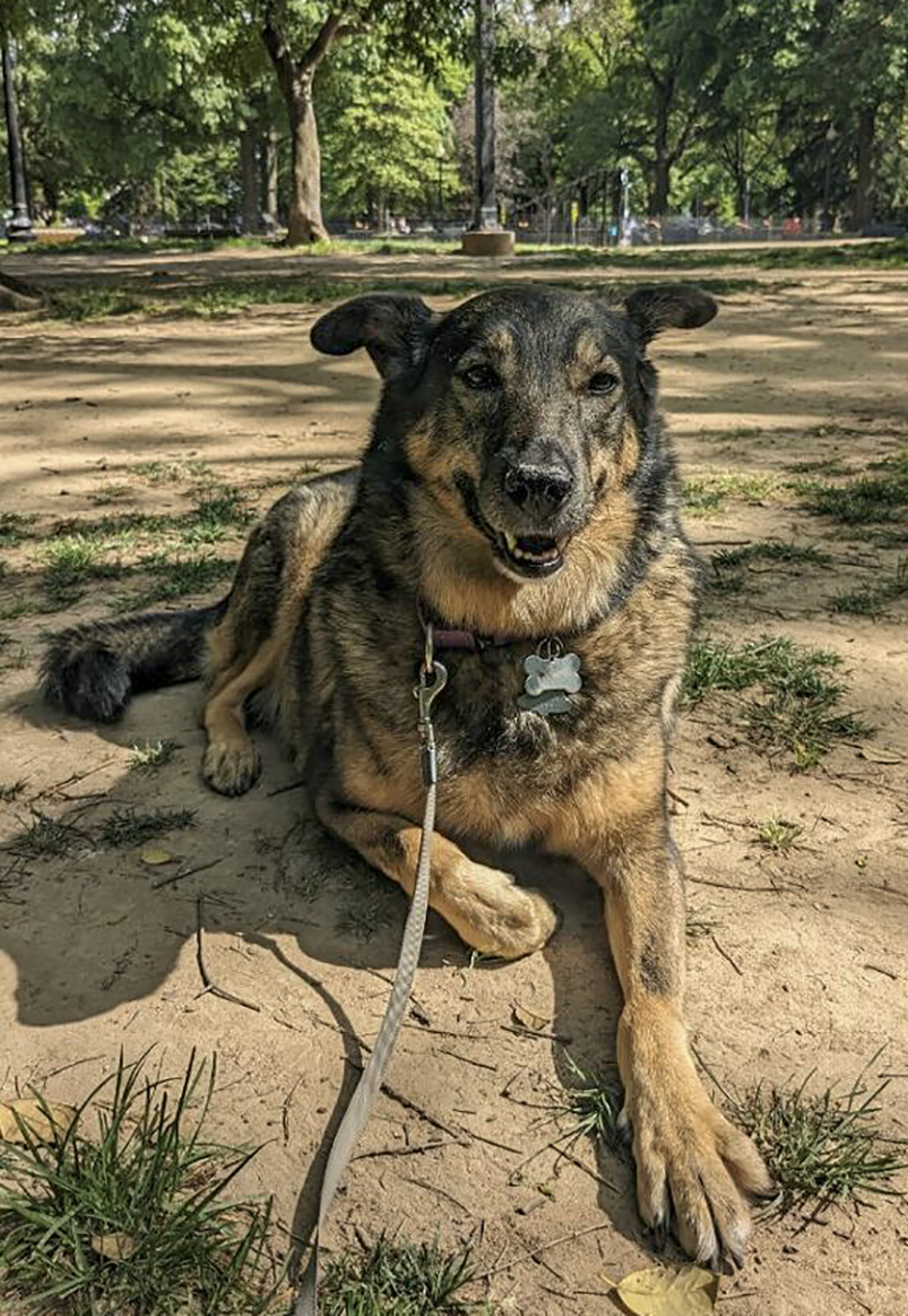 Queen of the park