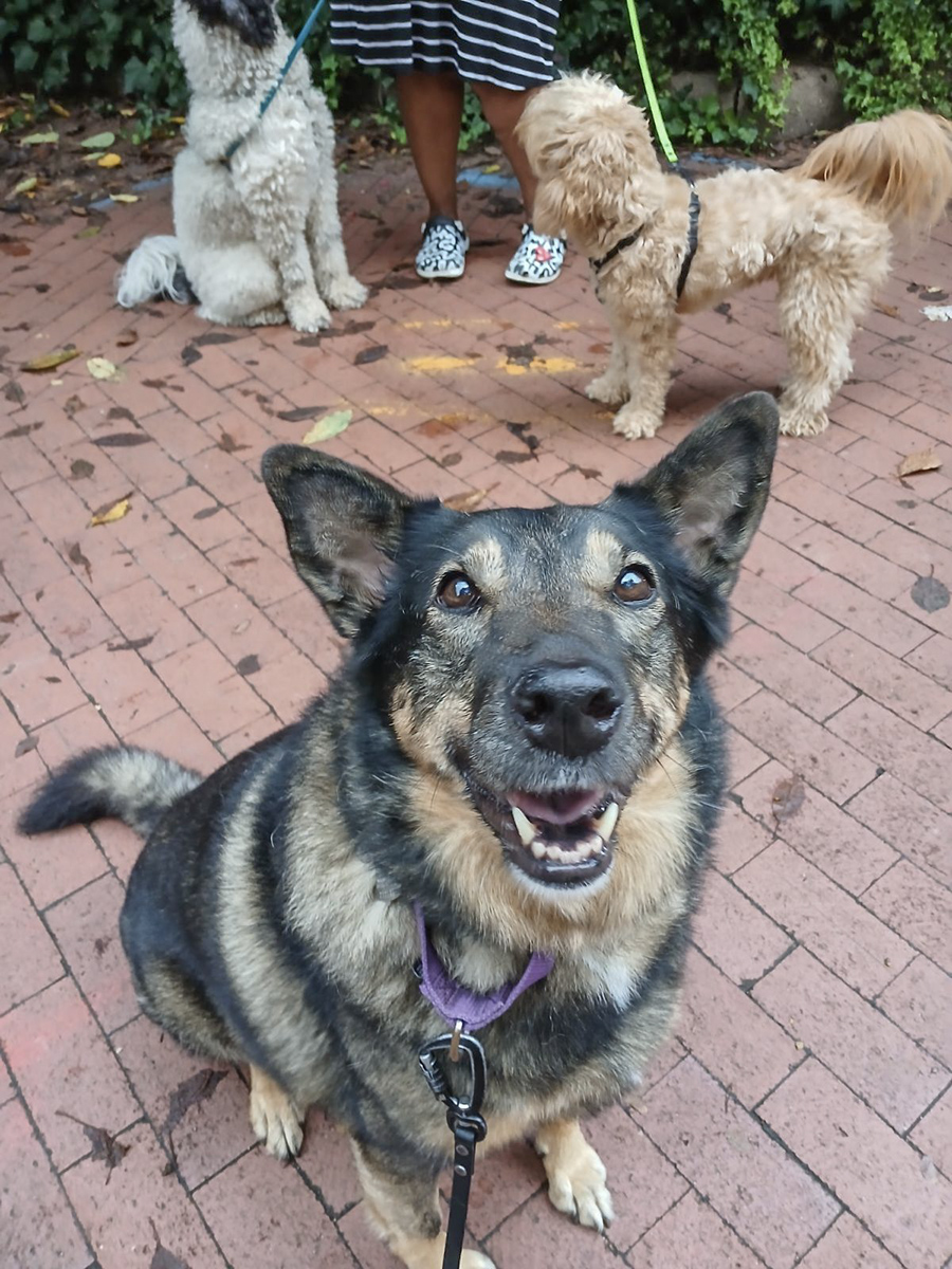 Gimme more of those new treats!