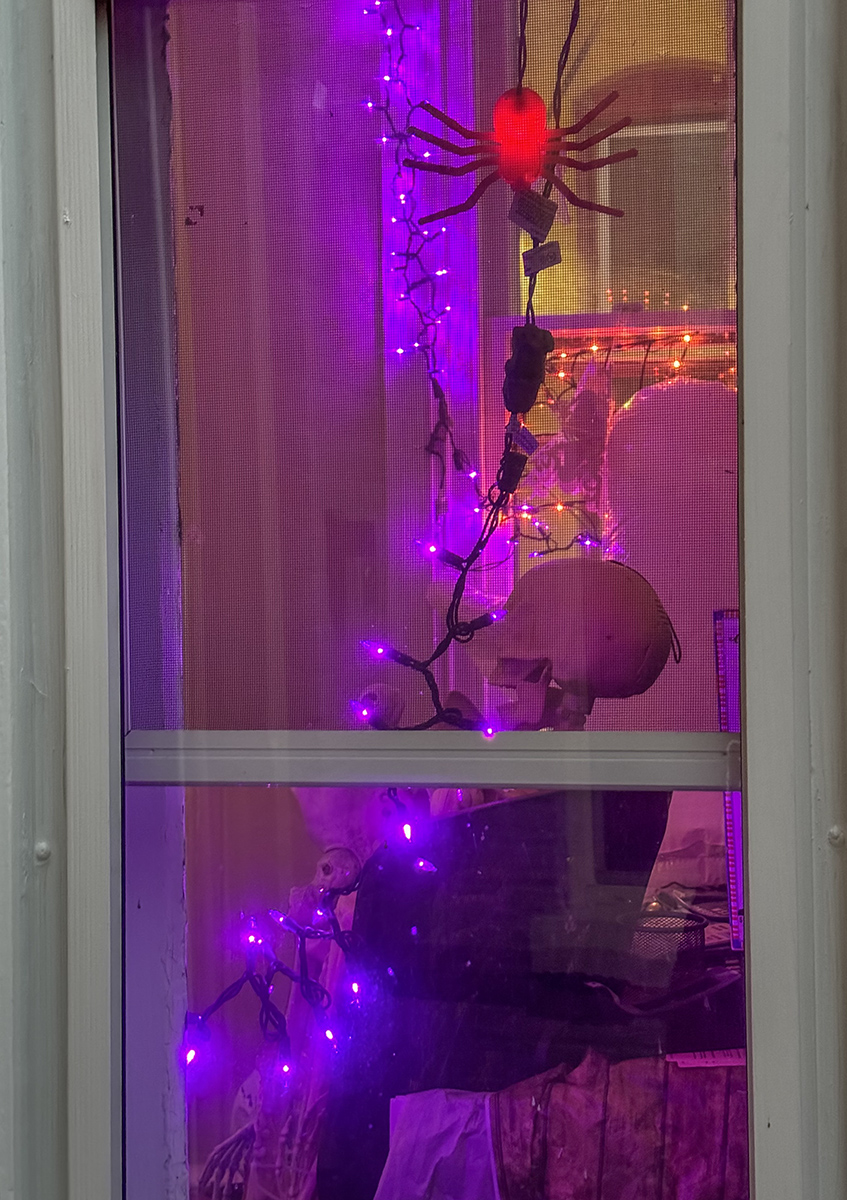 Scary house guest
