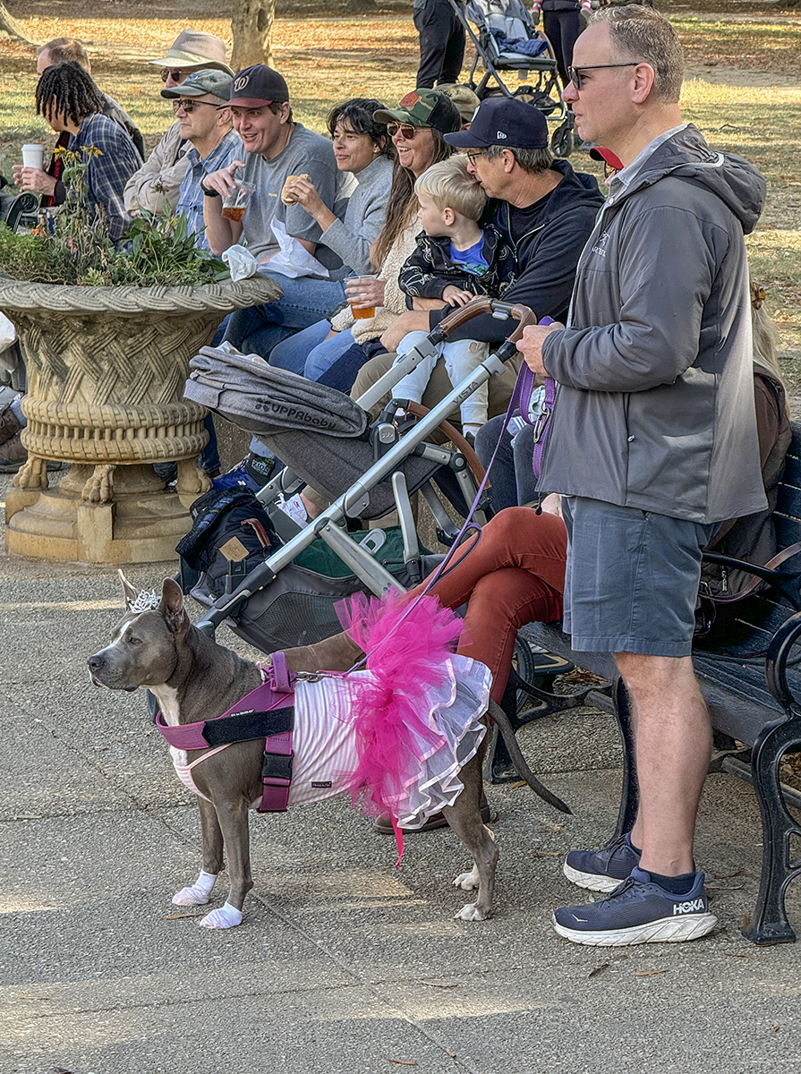 Ballerina, Howl-o-Ween costume contest