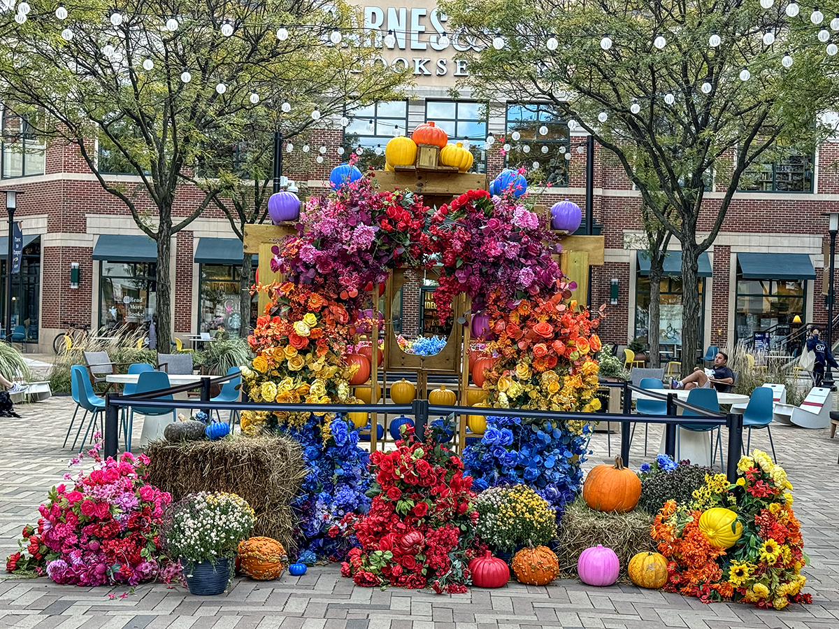 Fall display