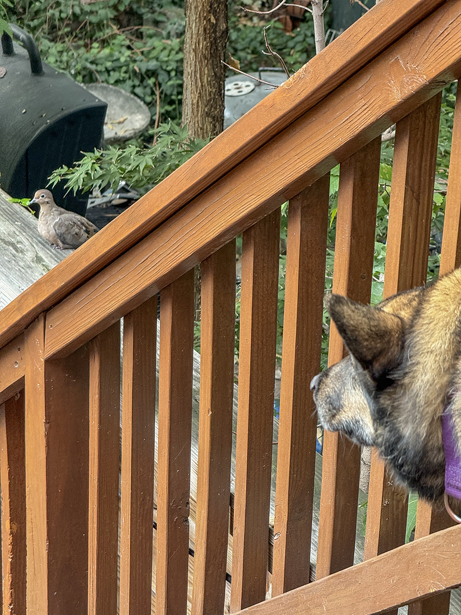 Keeping watch