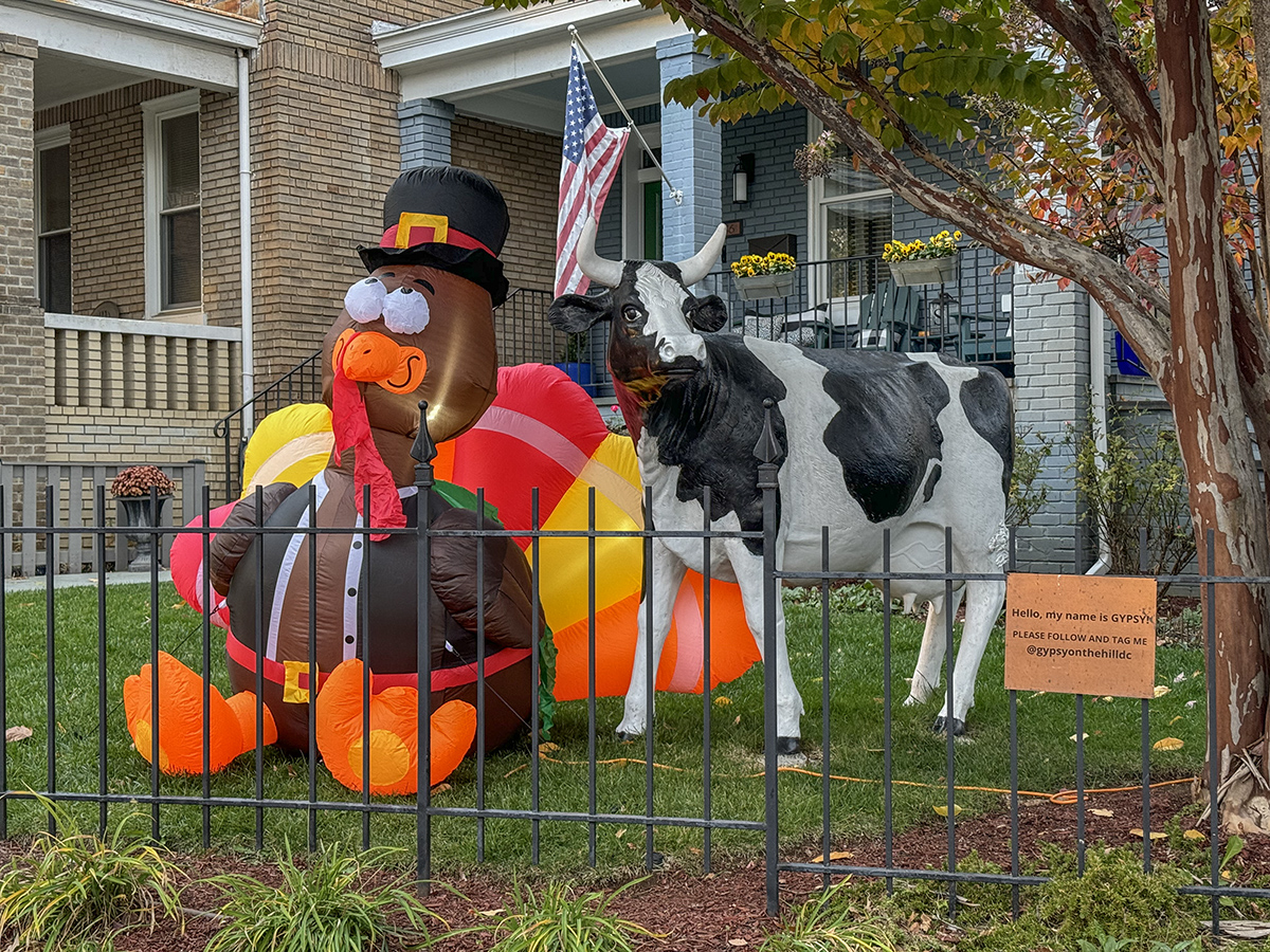 Happy Thanksgiving!