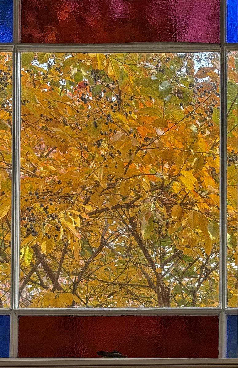 Through the looking glass