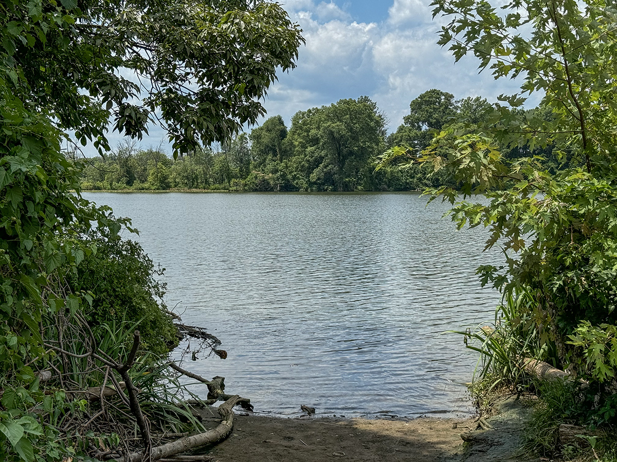 The birdless bird sanctuary