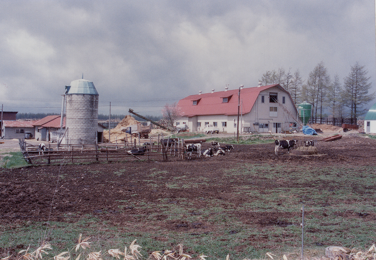Dairy farm, Hokkaido