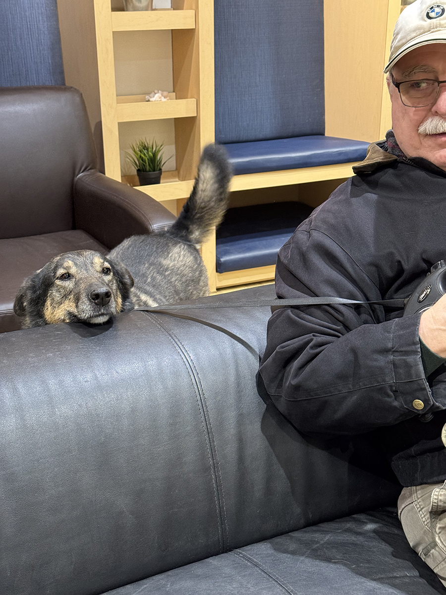 Maybe the vet wont see me back here
