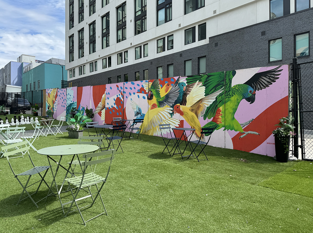 Surprise park and mural