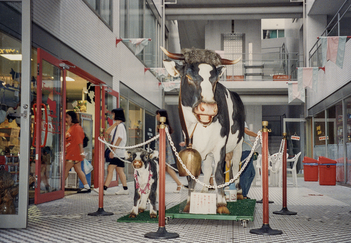 Shopping mall resident, Kobe