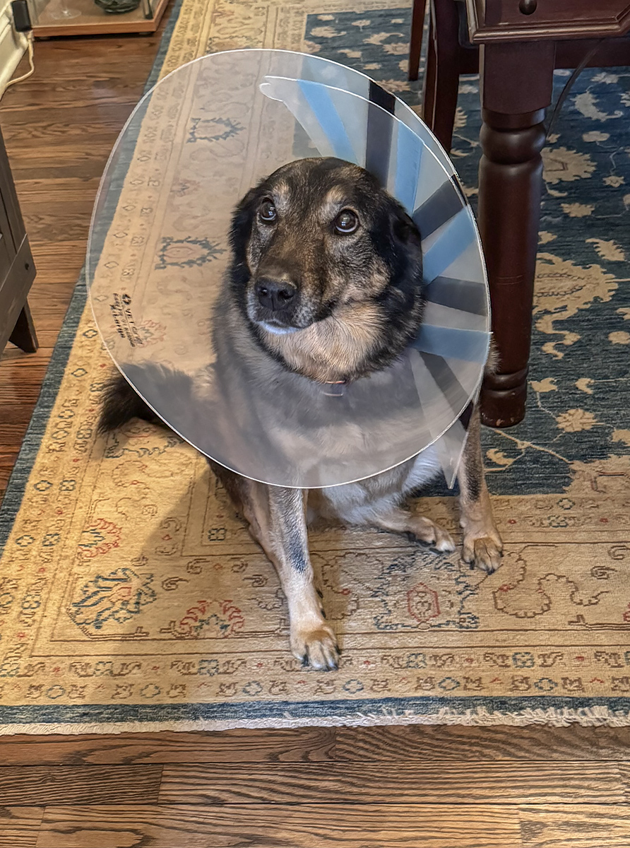 Do I really have to wear this thing??