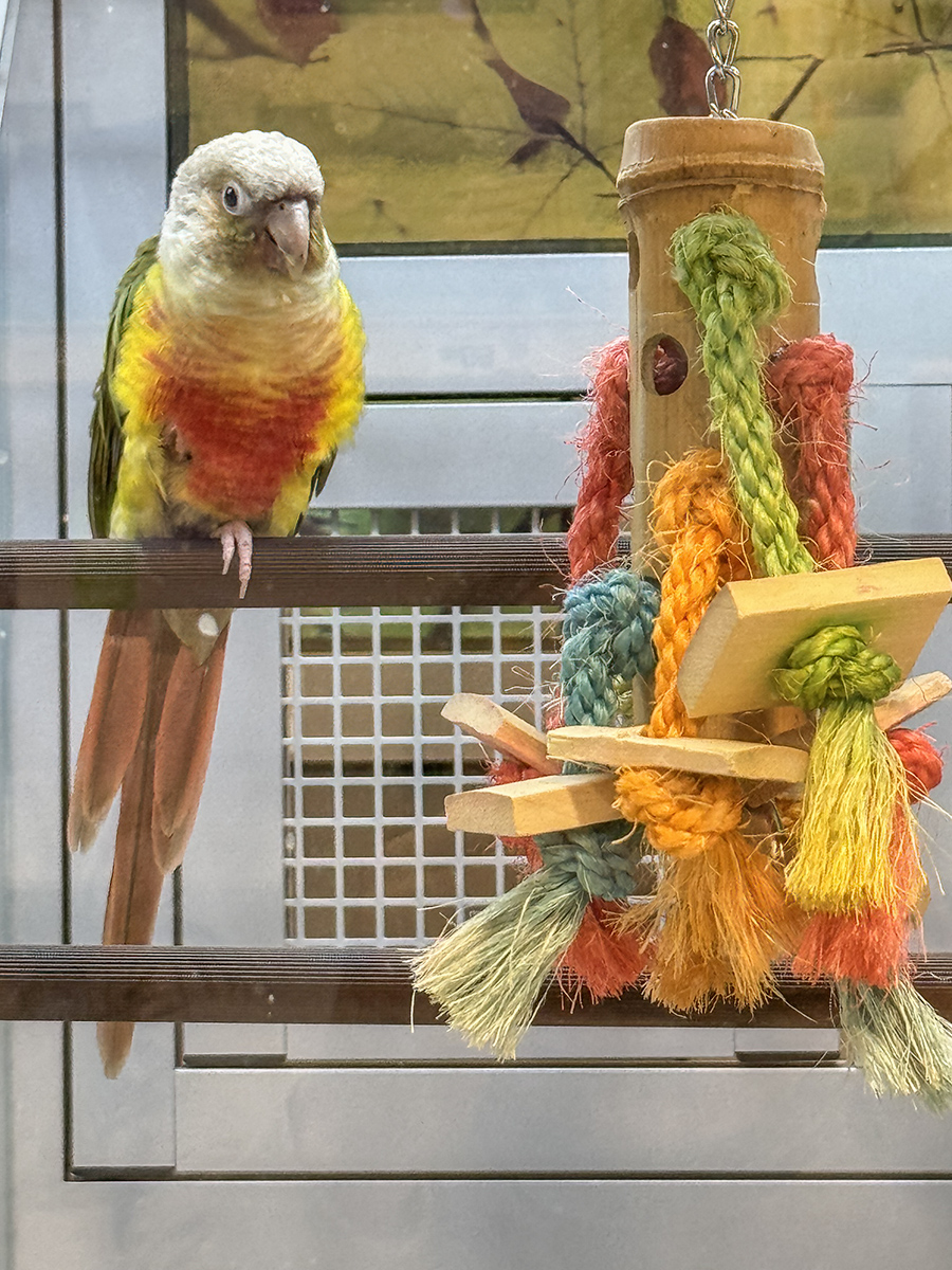 Color coordinated