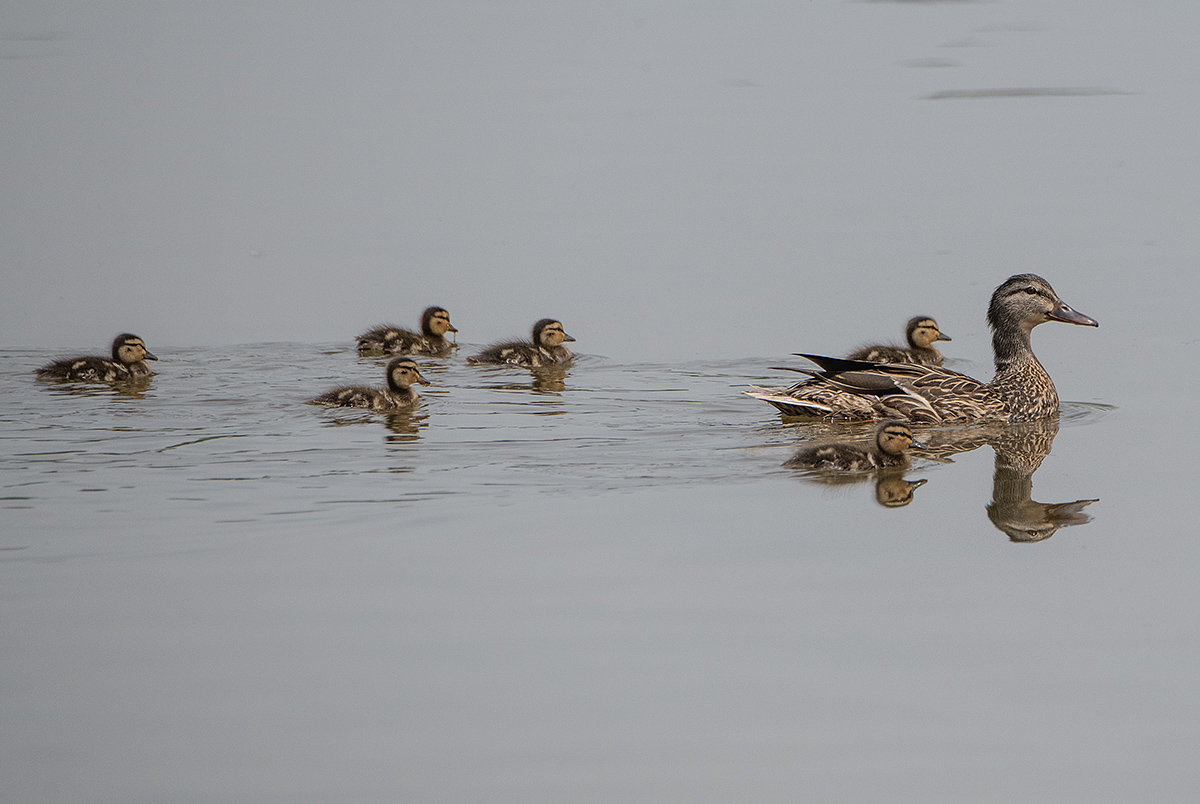 Family portrait