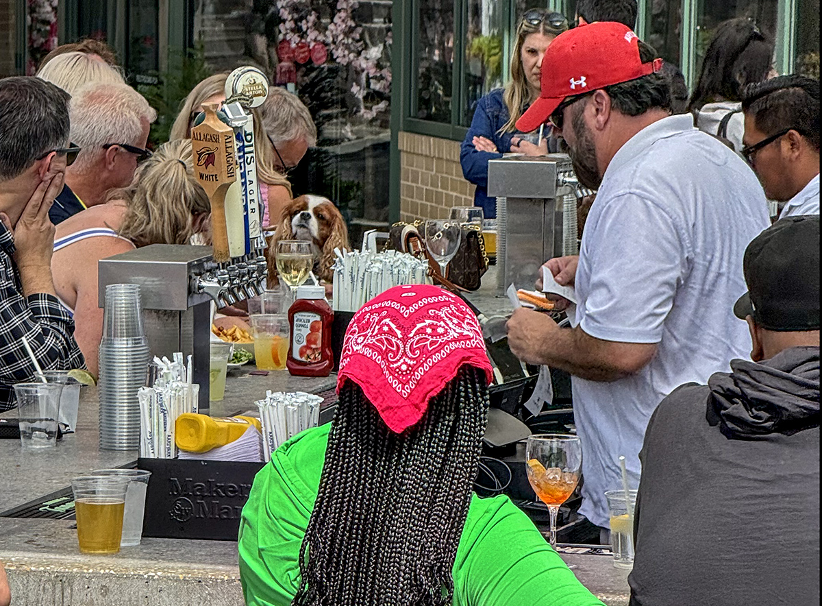 Doggy customer at the bar