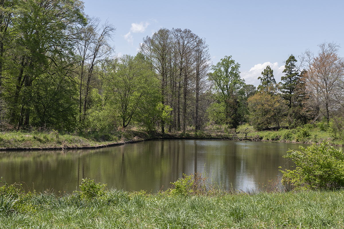 Arboretum in years past: Secluded lake