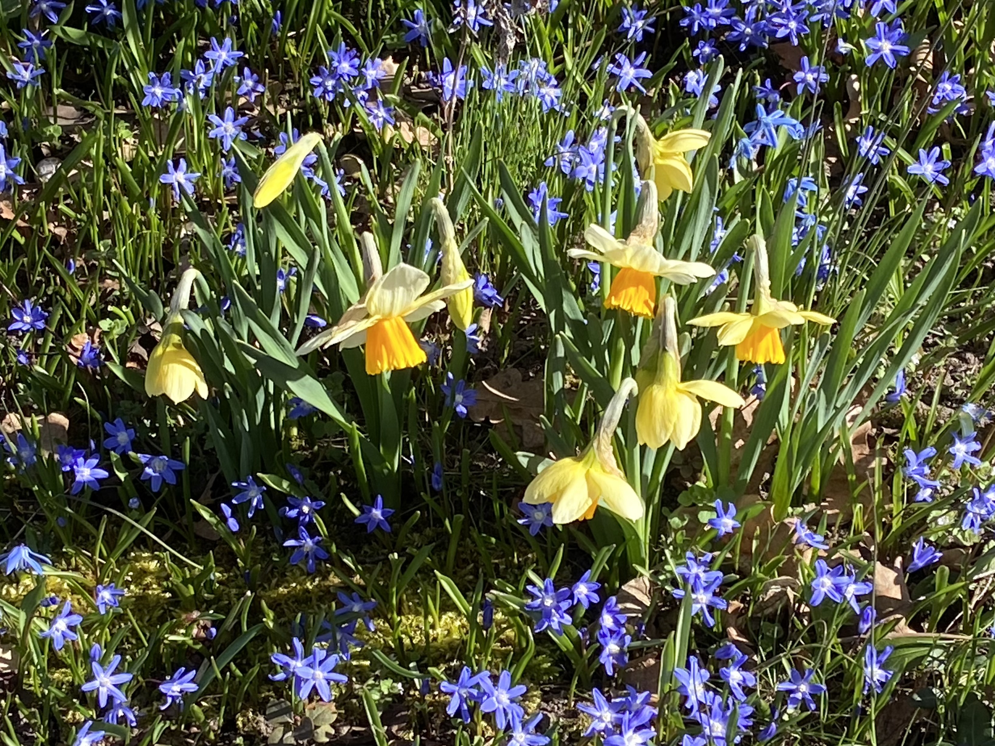 IMG_1143.jpeg