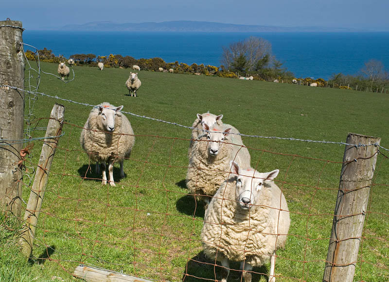 18_Apr_09-03<br>Above Cushendall