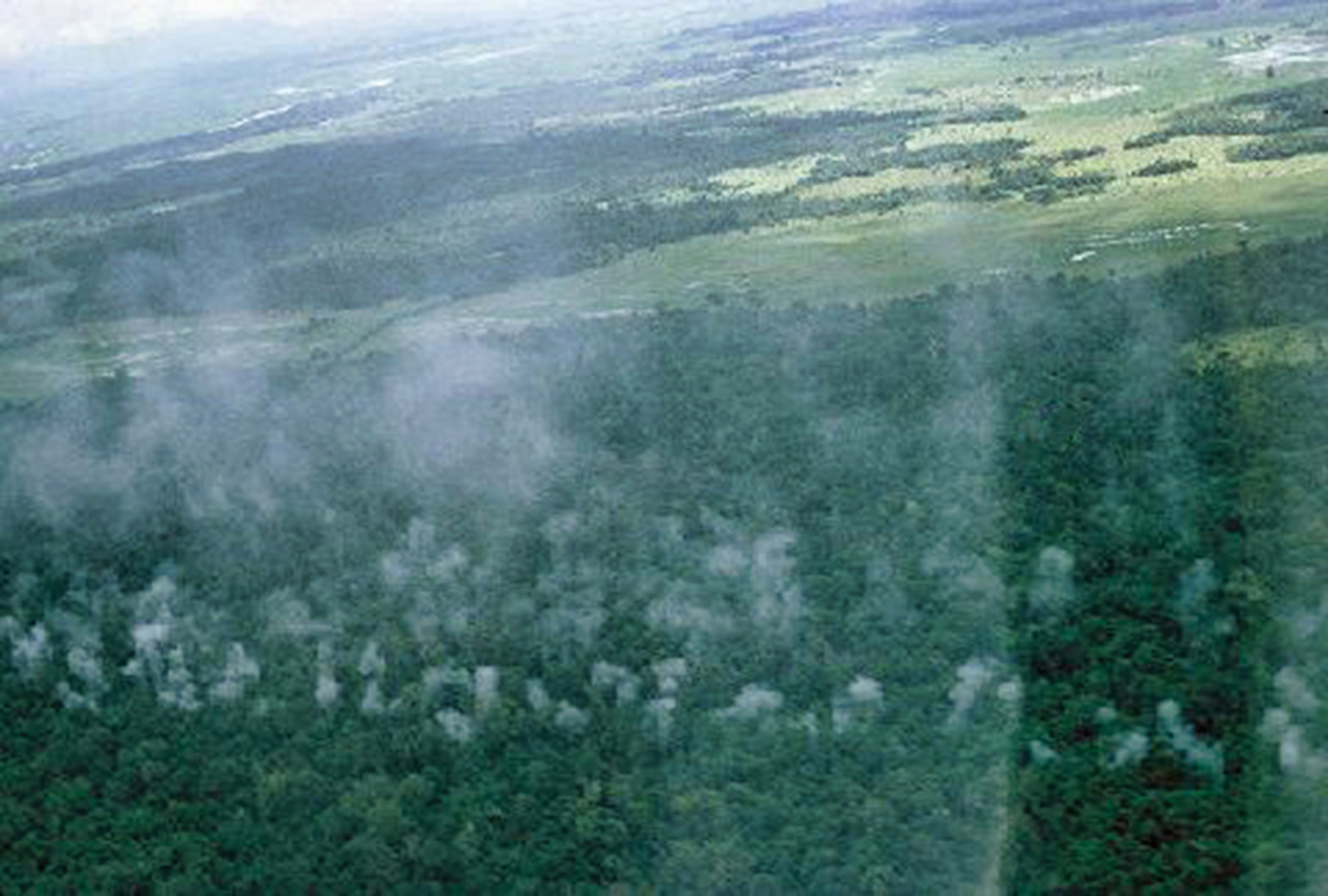 Air strike near Highway One - Pilots view