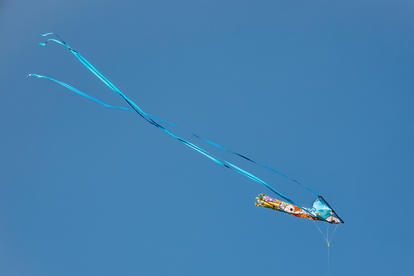A kite aloft over Pismo Beach