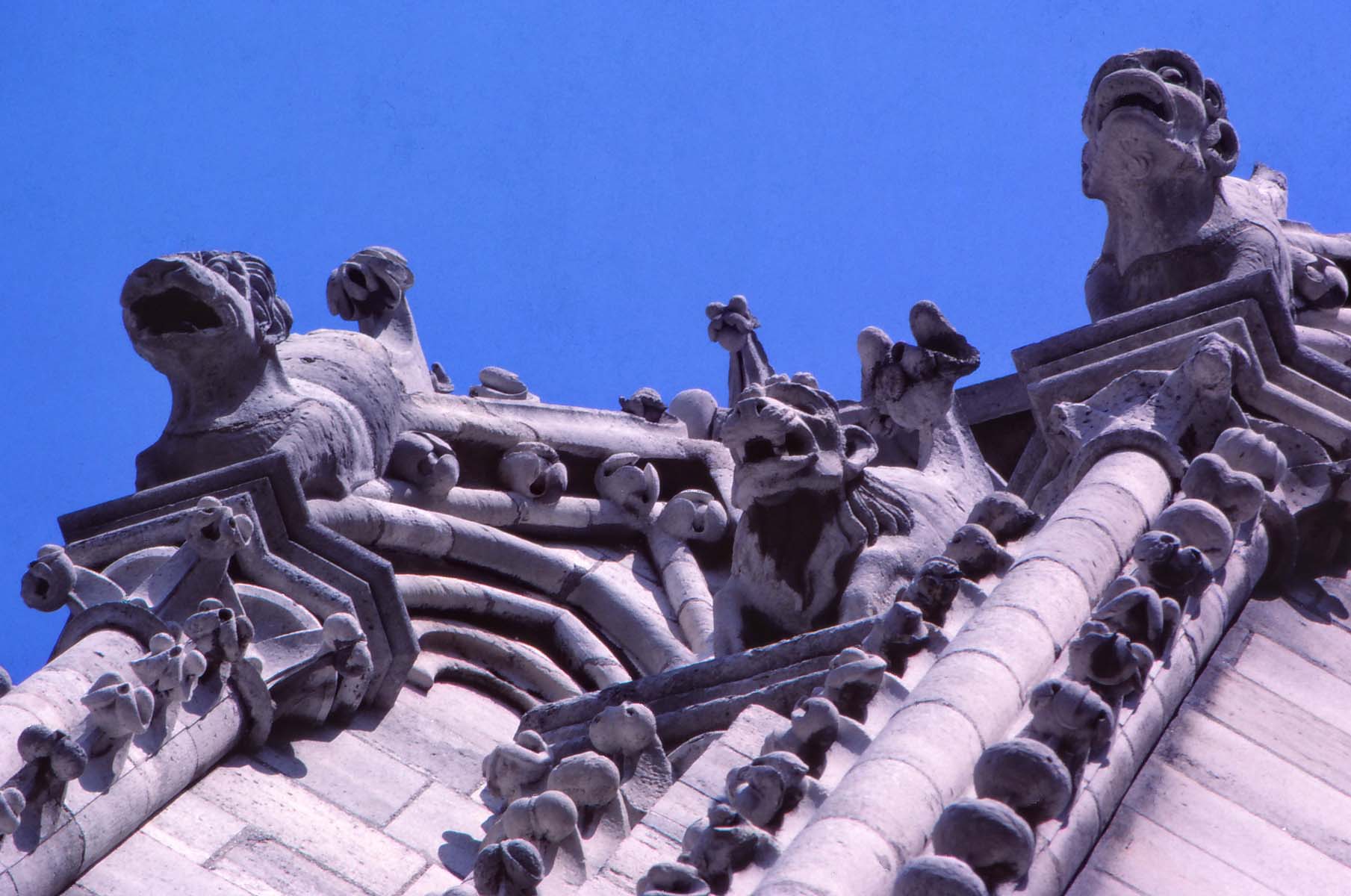 The Notre Dame gargoyles are very intriguing; experts know their meaning.  