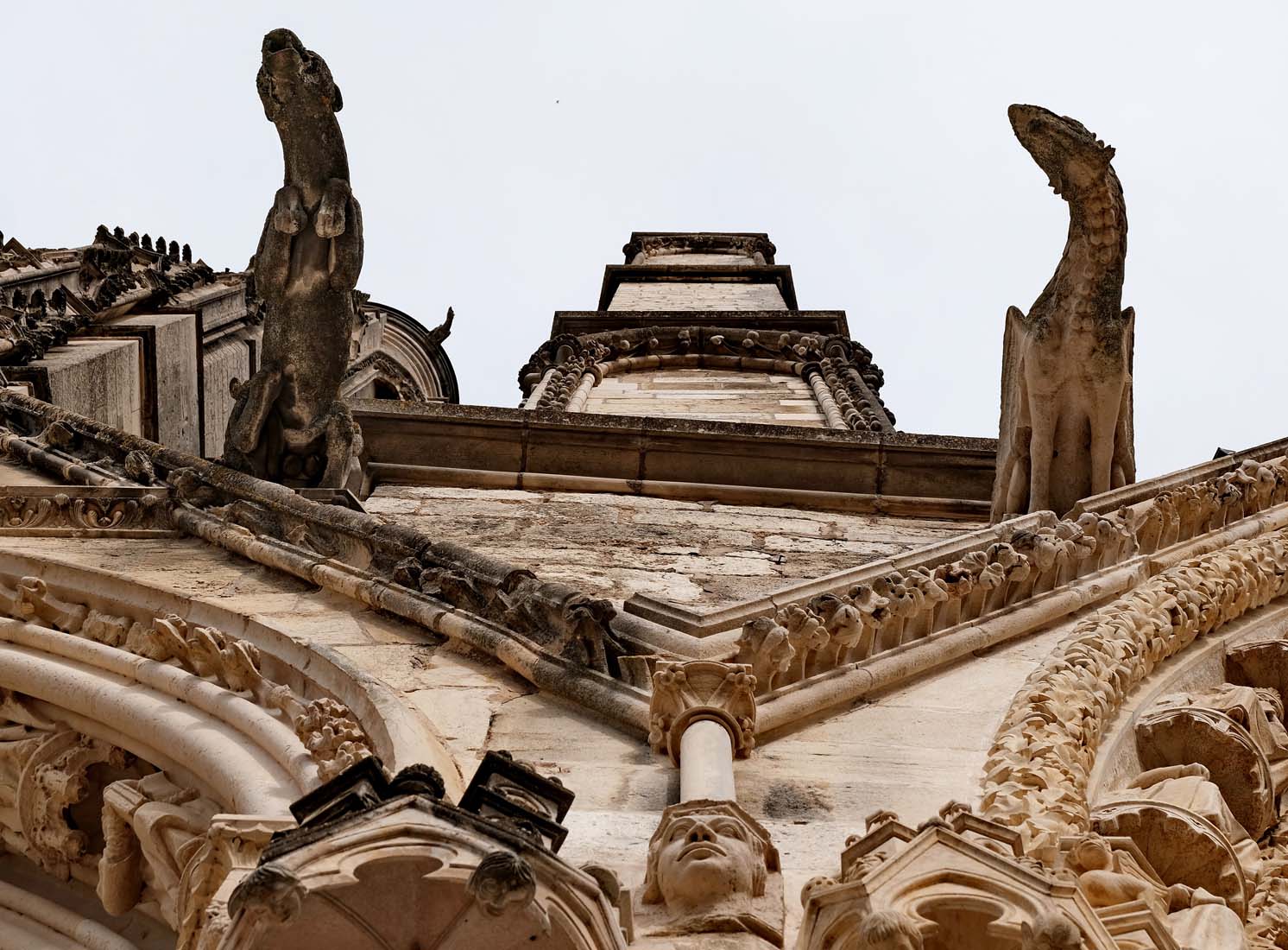 Bourges: Saint-Étienne cathedral, the gargoyles. 