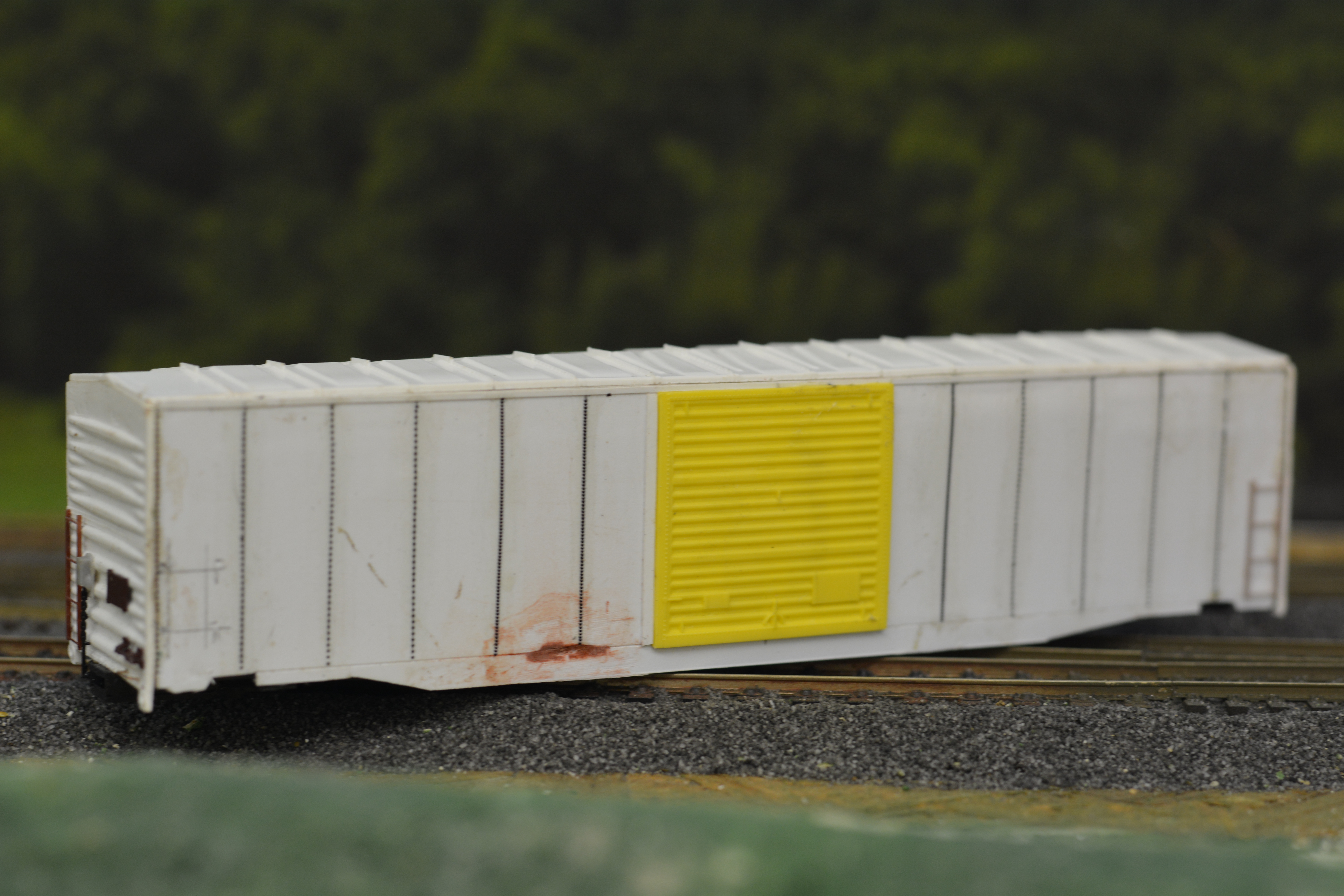 DSC_3868.jpeg