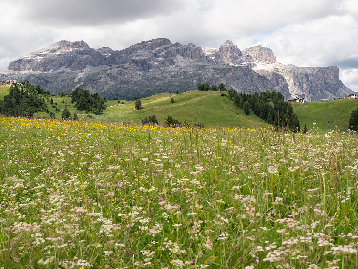 Gruppo del Sella