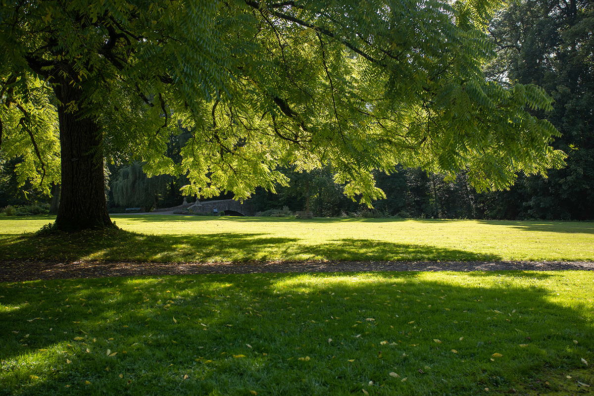 le jardin de lAbbaye de Val-Dieu