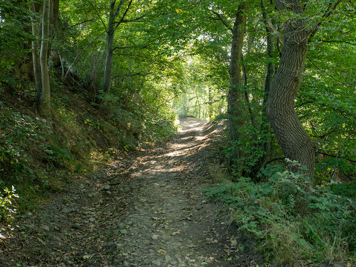 la Befve