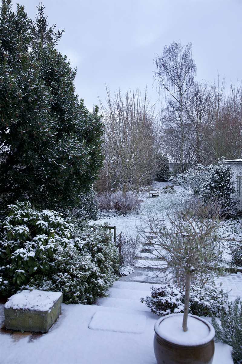 Winter imby