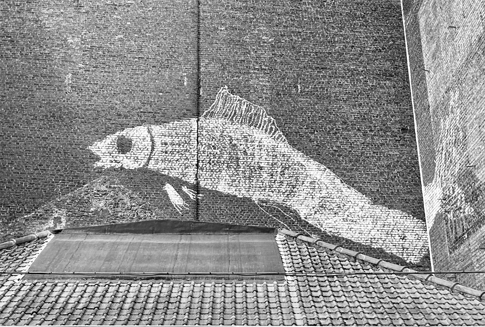 Fishy