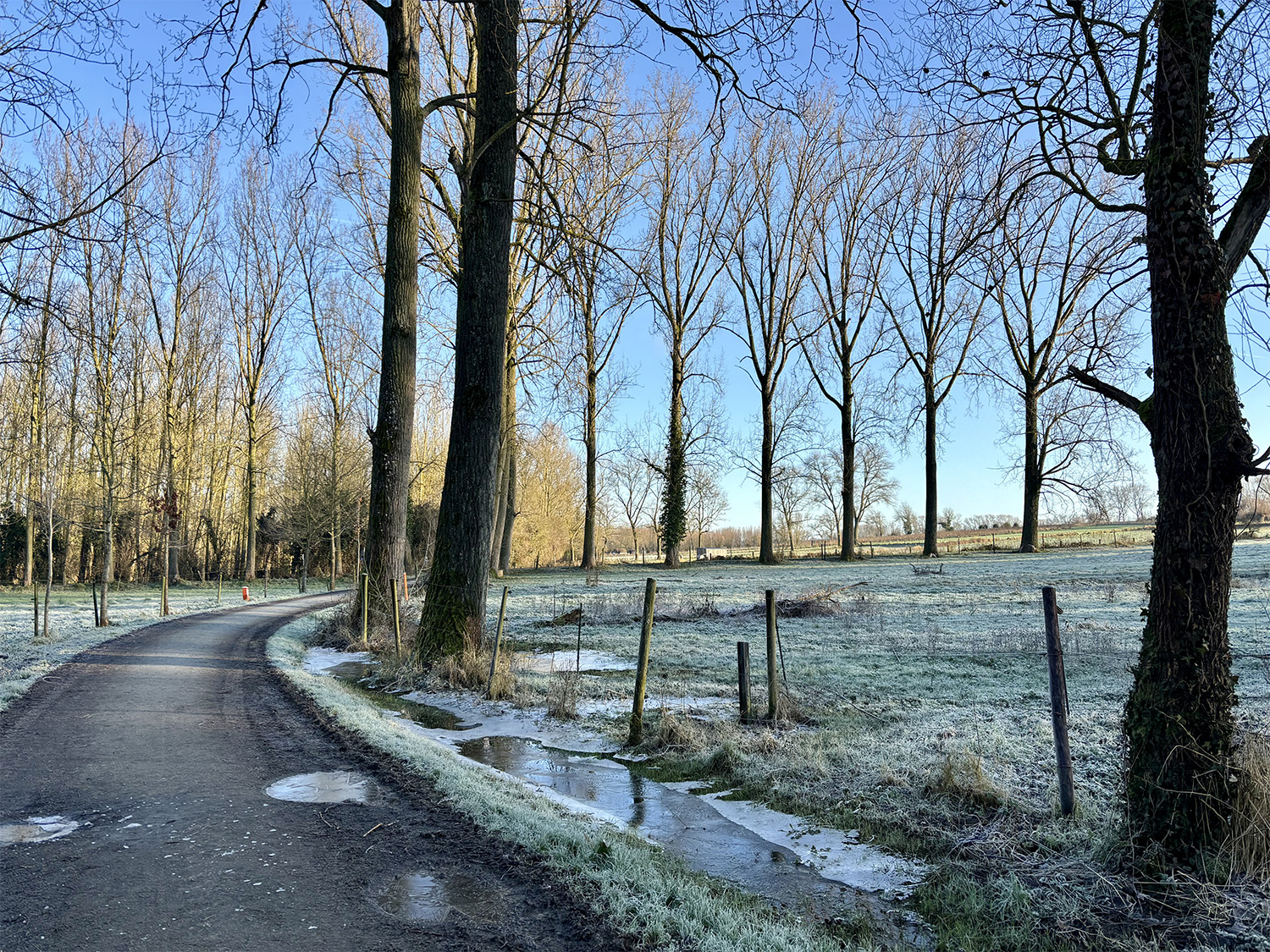 Heldergem