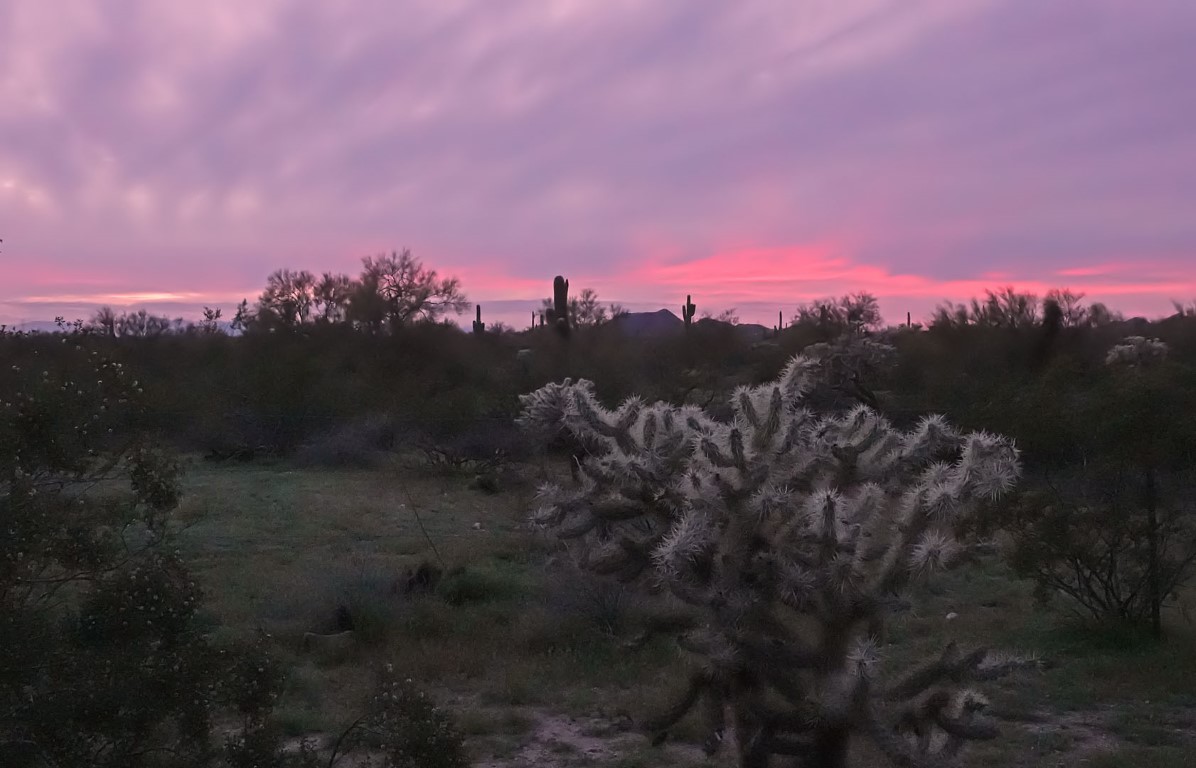  Apache Junction 