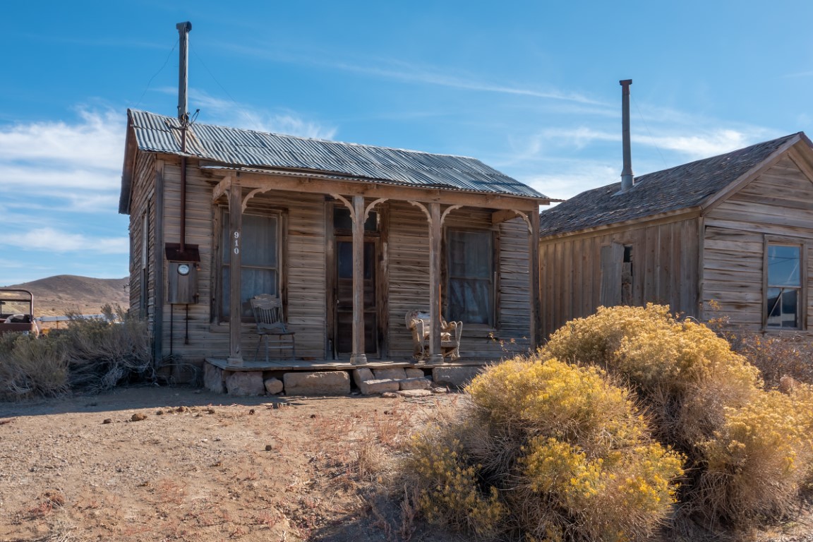 Goldfield