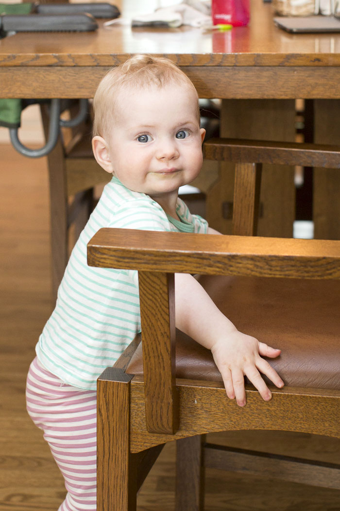 Chair climber extraordinaire