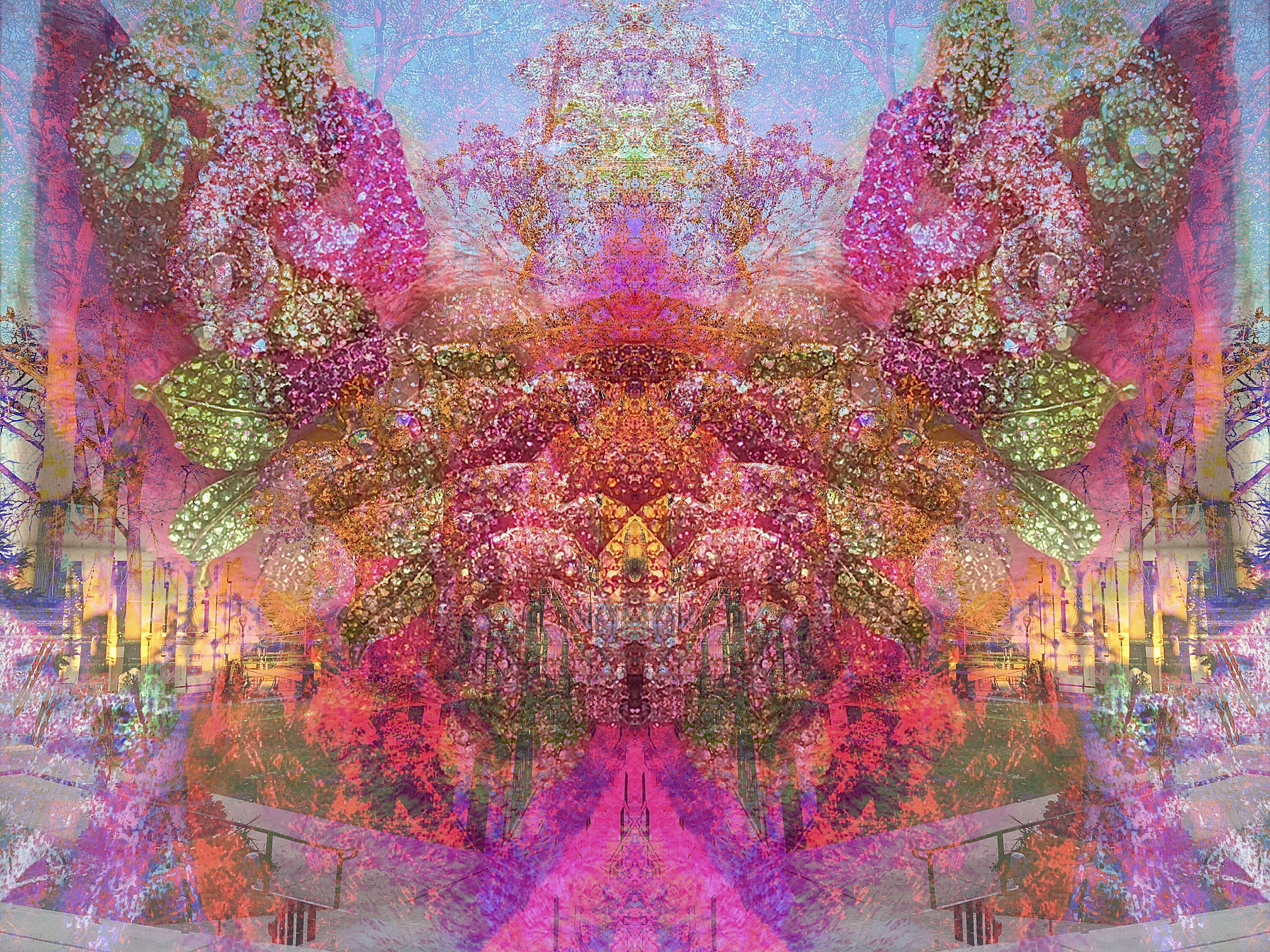 49B28CF6-6E58-449D-9D47-156E7F6095CF.jpeg