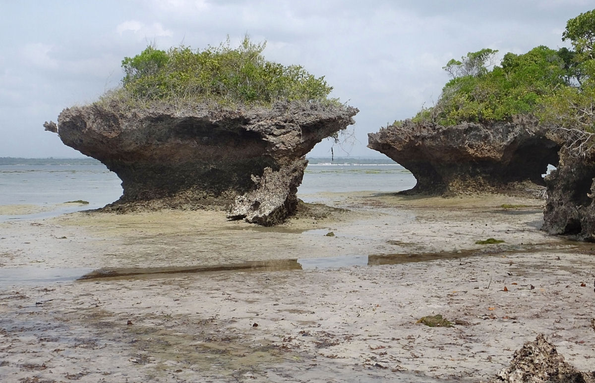 Coral islet on mainland side of Chale