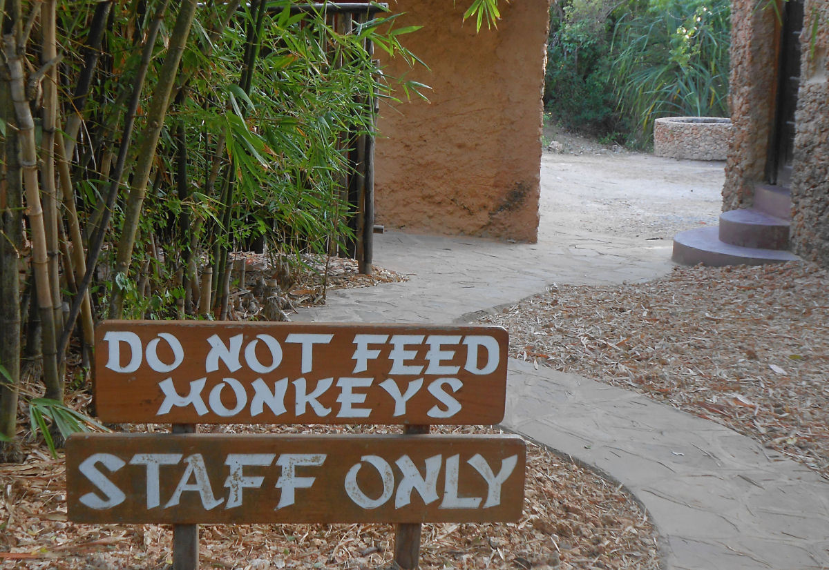 I didnt feed either ...