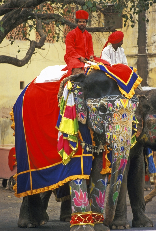 Gangaur festival procession, Jaipur