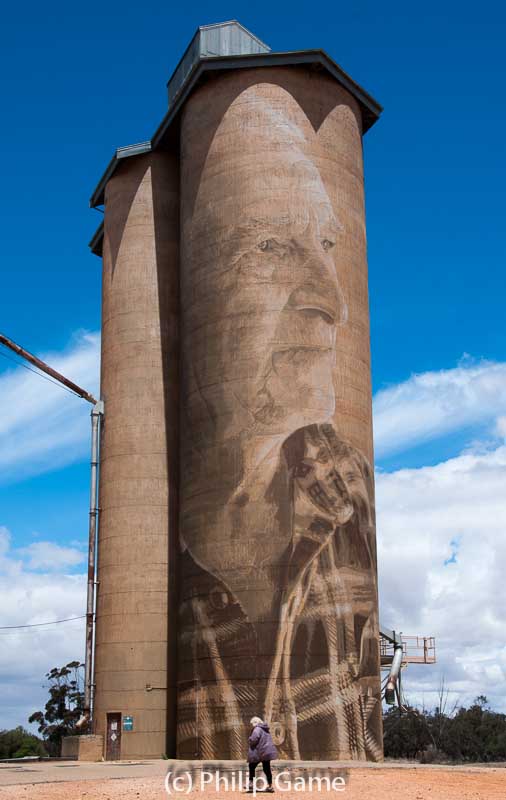 Silo art by Rone at Lascelles