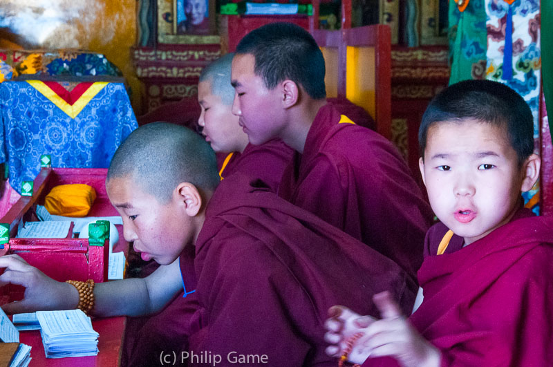 Prayer time for novice Buddhist monks