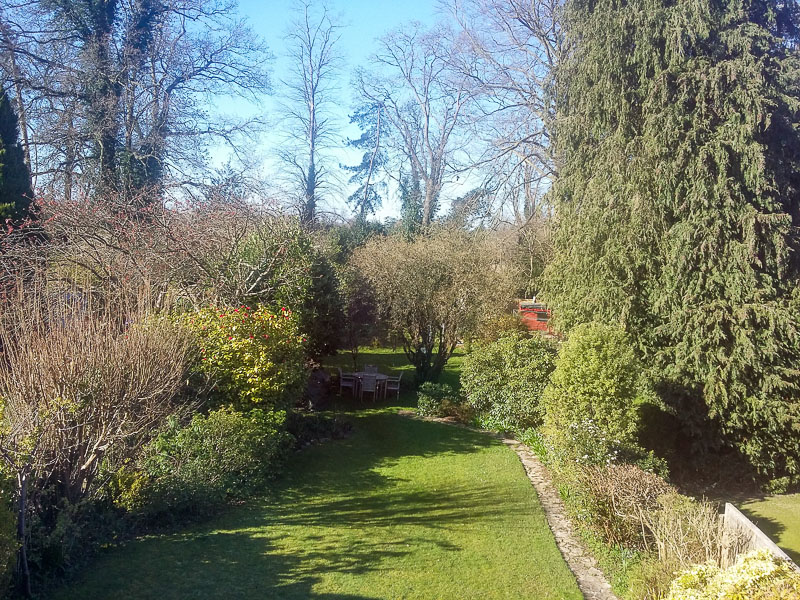 Our back garden in Great Bookham, Surrey