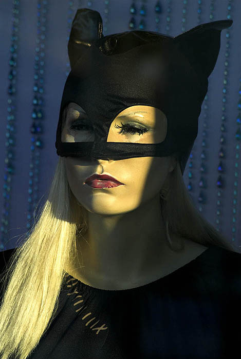 Catwoman figure in a costume hire store, Melbourne, Australia